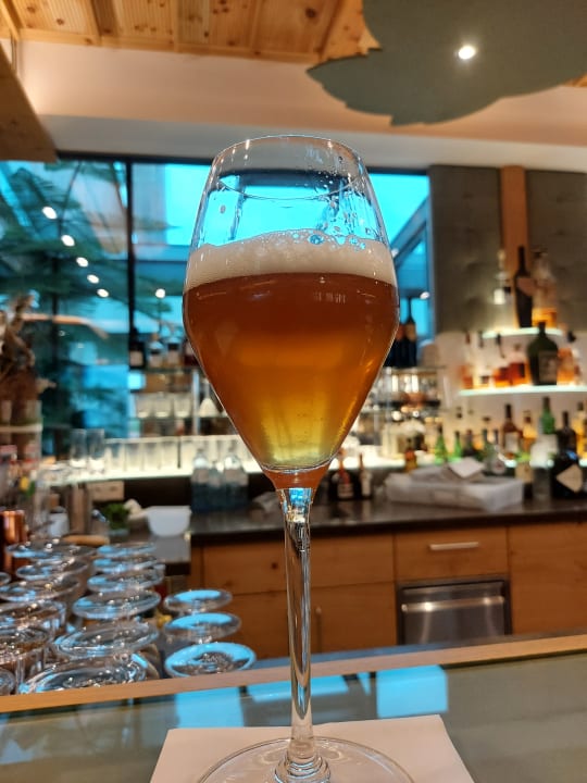 Gastro Dorfhotel Fasching