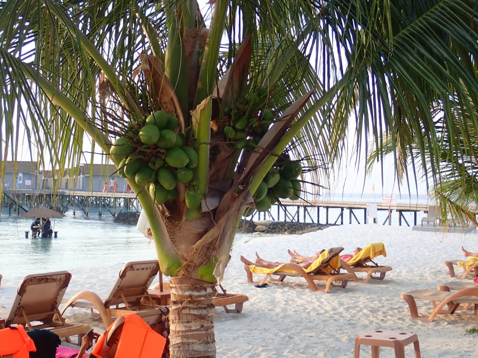 Strand Centara Ras Fushi Resort & Spa Maldives