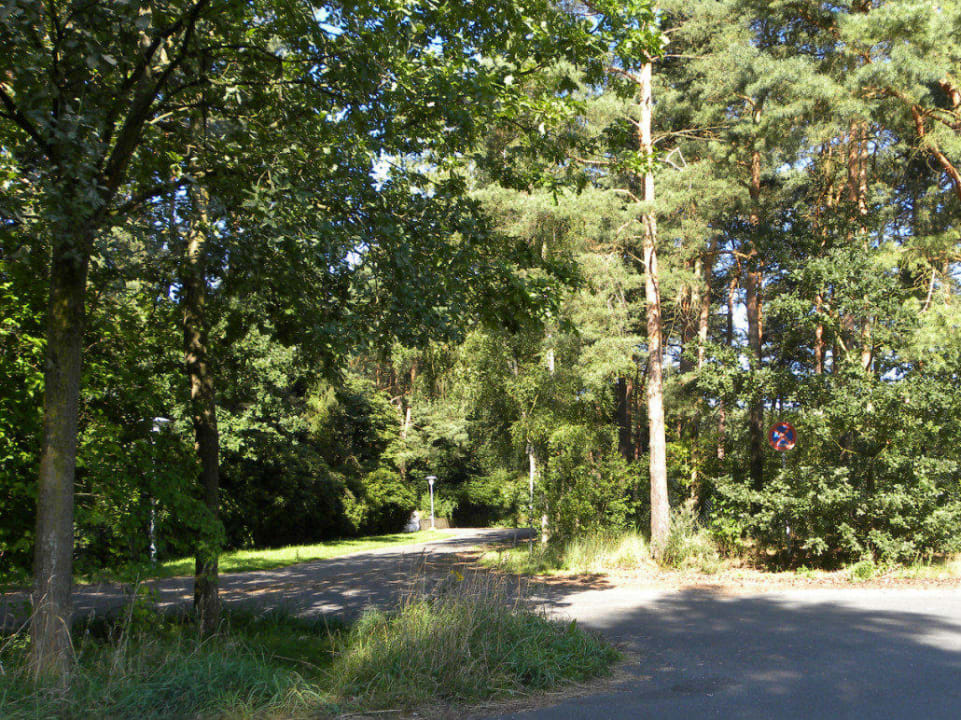 Hotel Haus Heidewinkel Kleinburgwedel Hotel Haus Heidewinkel