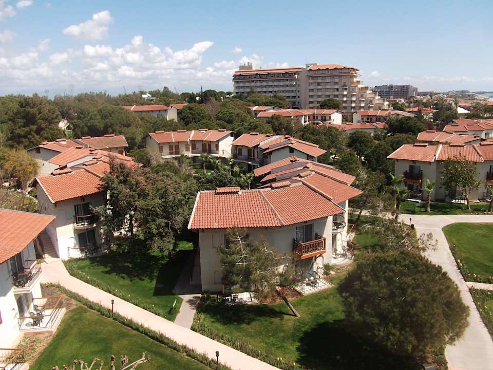 Belvil von oben 2 Papillon Belvil