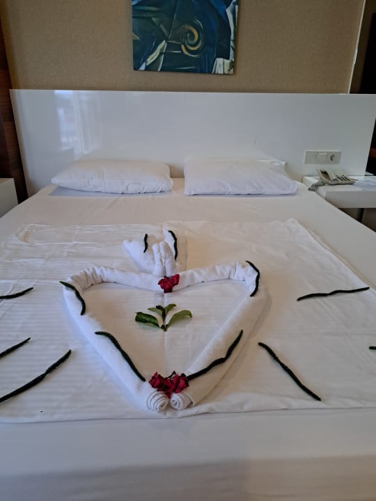 Zimmer Seaden Sea World Resort & Spa