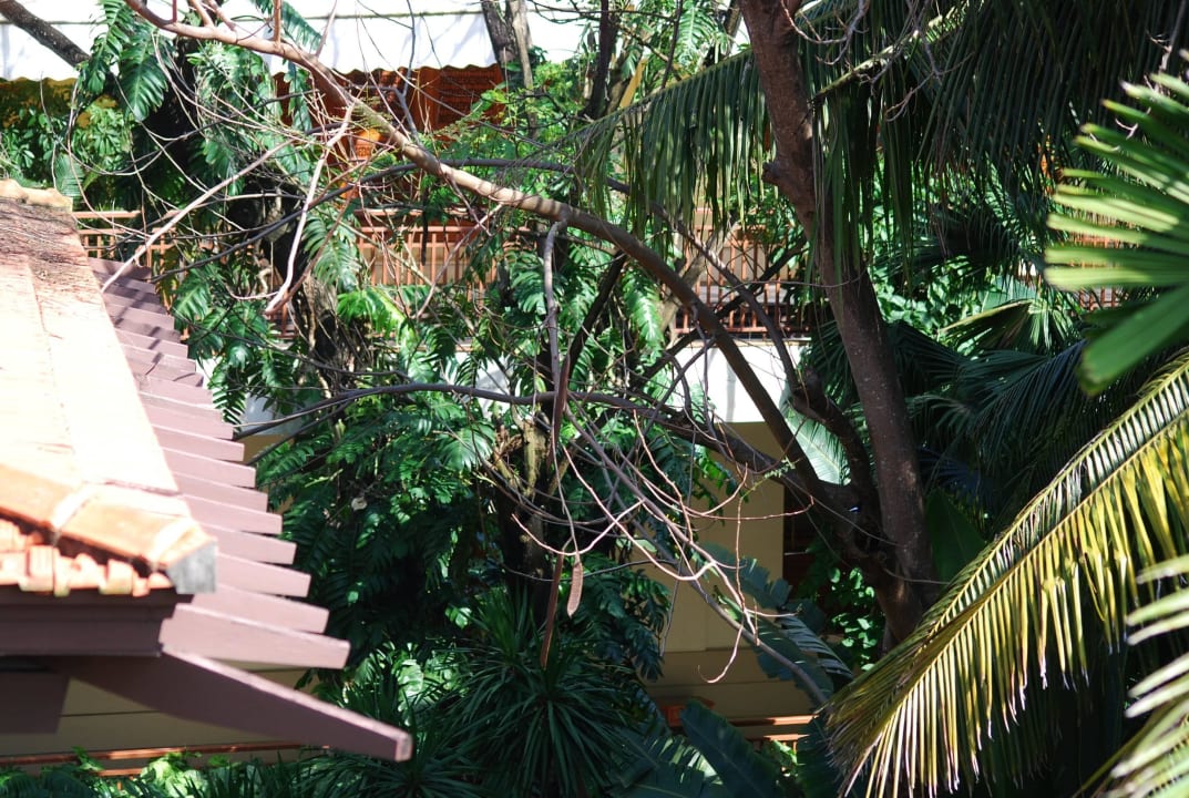 Pflanzen Furama Resort Danang