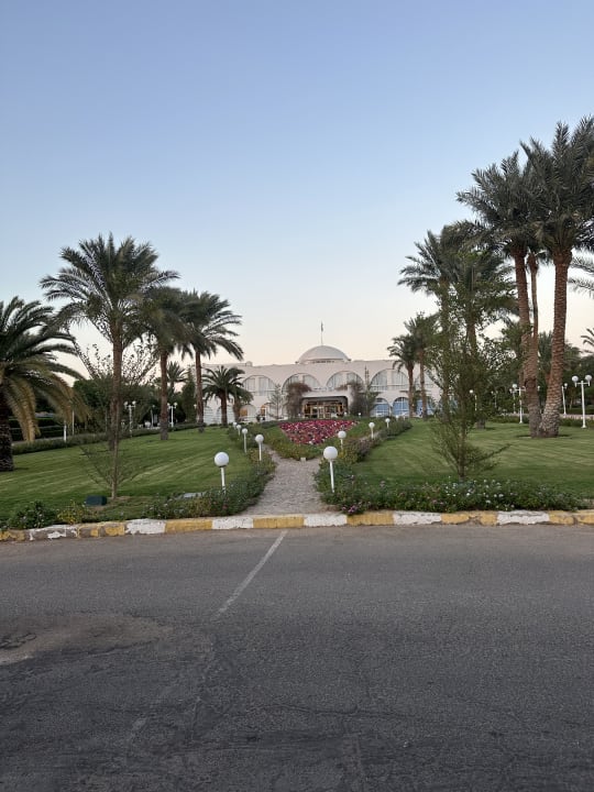 Gartenanlage Desert Rose