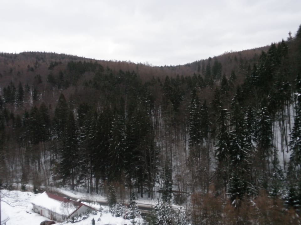 View from the room Hotel Las