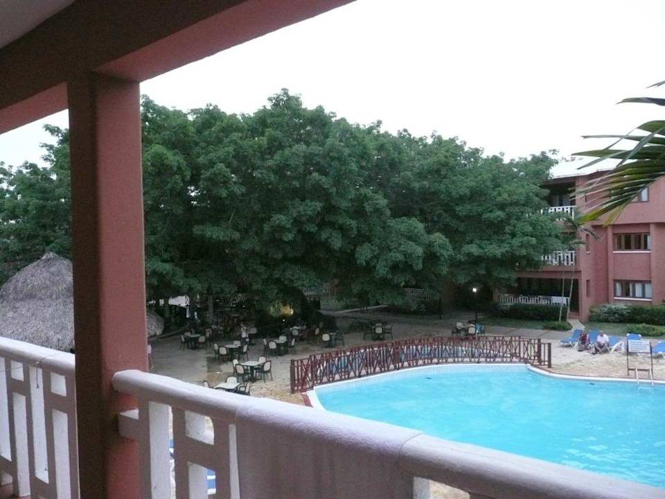 Ceiba in voller Pracht BelleVue Dominican Bay