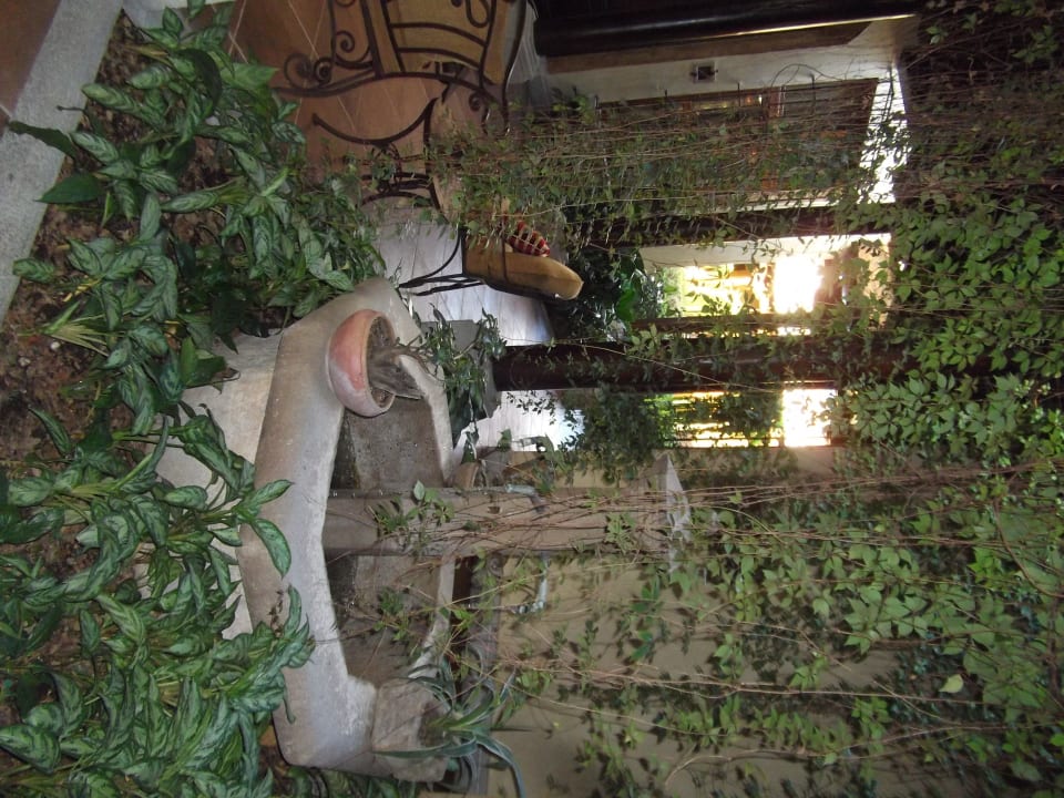 Bepflanzung Hotel Camino Real Antigua