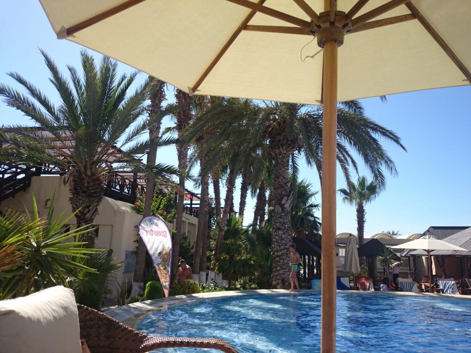   1 Hotel Paradis Palace