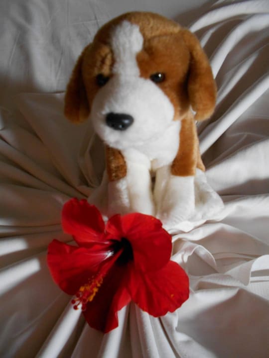 Bettgestaltung Hotel Fiesta Beach Djerba