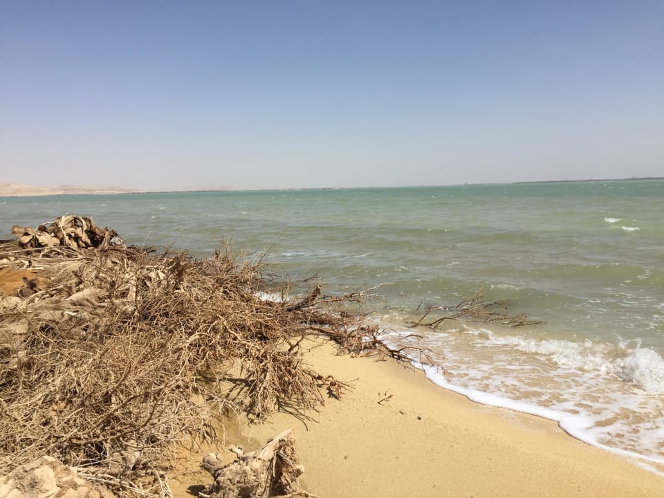 Salzsee - sehr sehr salzig - man geht nicht unter Adrere Amellal Eco Lodge