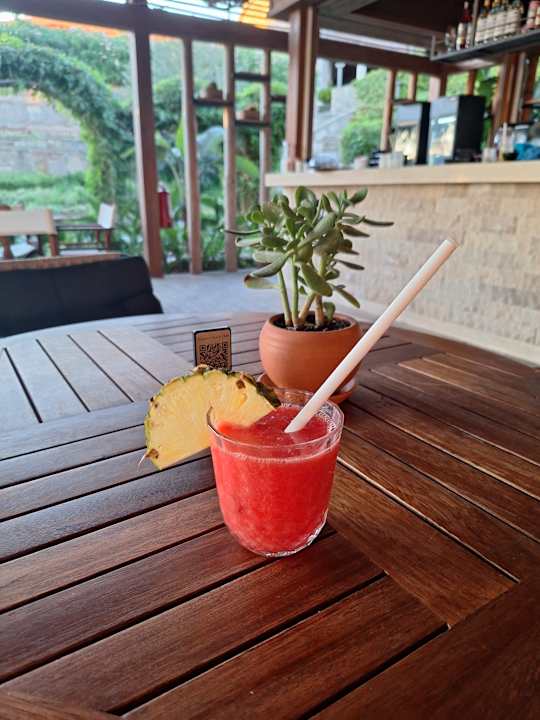 Gastro Arum Barut Collection