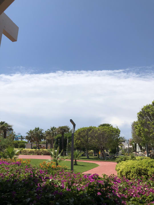 Gartenanlage Hotel Miracle Resort