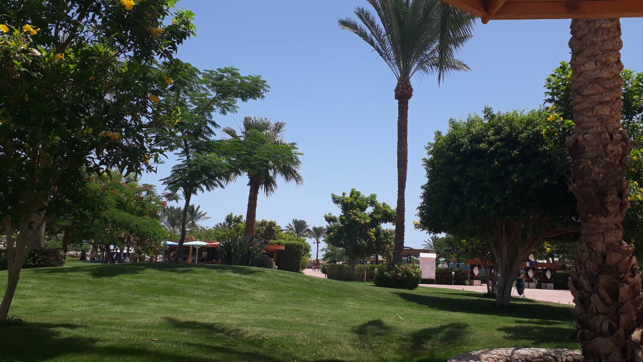 Gartenanlage Desert Rose