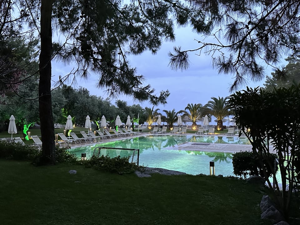 Pool TUI BLUE Seno - Adults Only