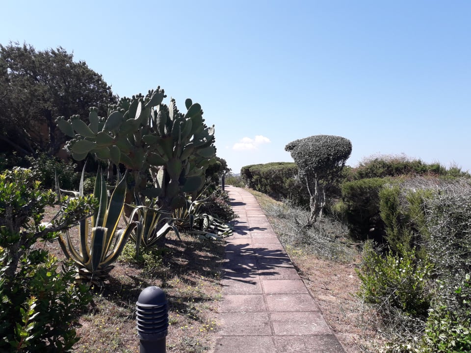 Gartenanlage Residence Costa Serena