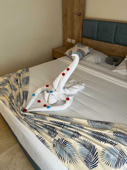 Zimmer Jasmine Palace Resort & Spa