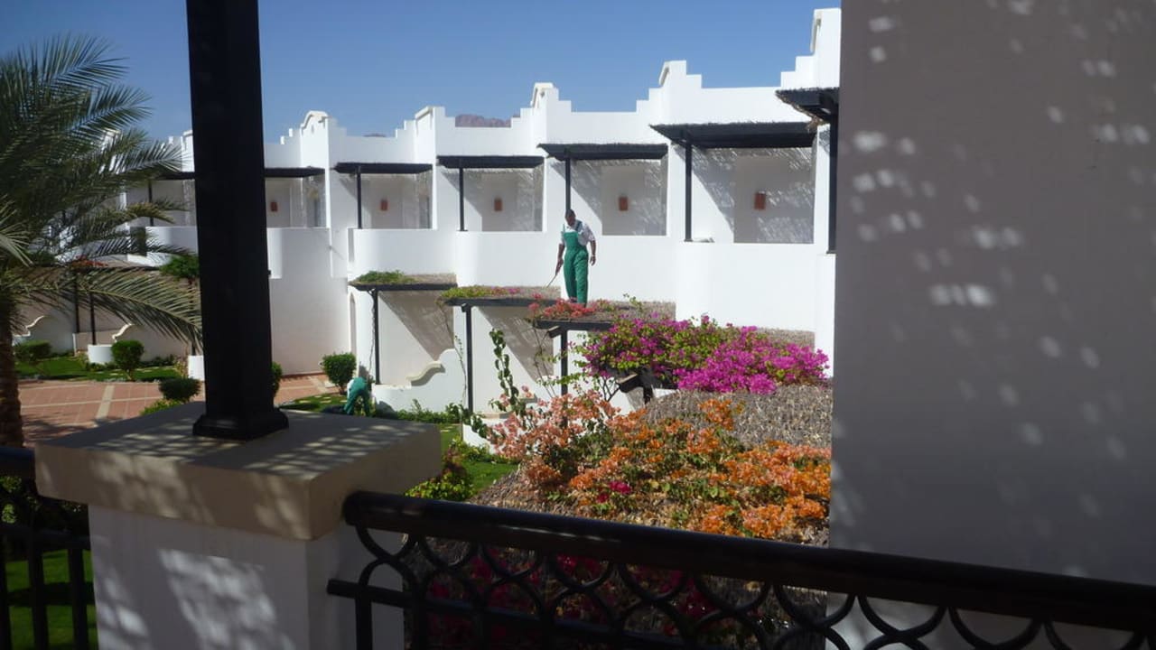 Gärtner bei der Blumenpflege JAZ Dahabeya