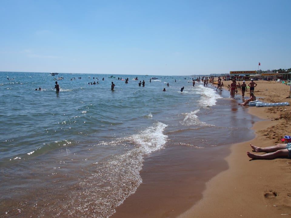 Toller Sandstrand Club Side Coast