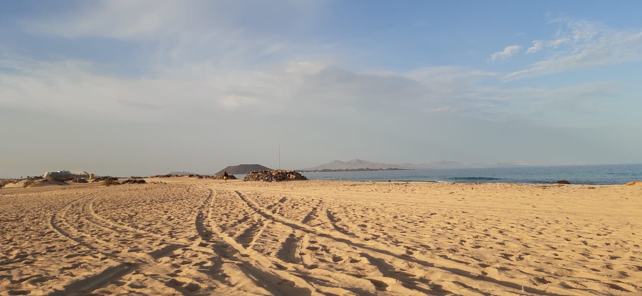 Strand Playa Park Zensation