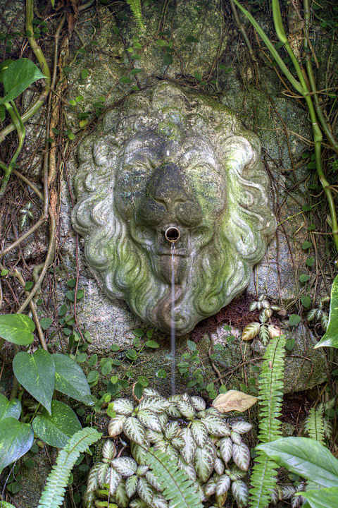 Detail Innengarten Hotel Pousada do Ouro