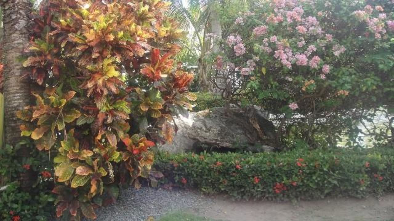 Empfang Bavaro TRS Turquesa Hotel - Adults only