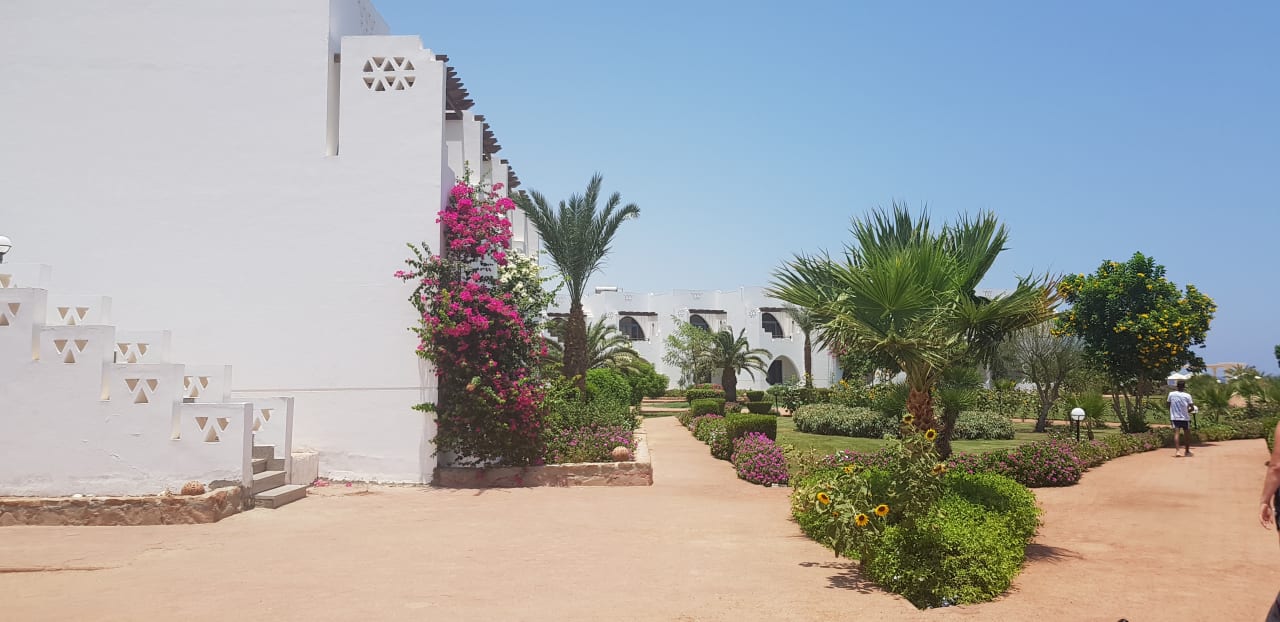 Gartenanlage Three Corners Equinox Beach Resort