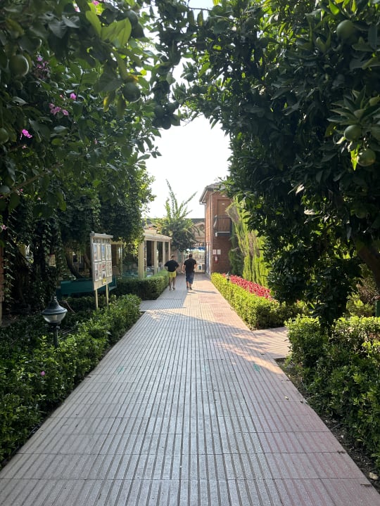 Gartenanlage Can Garden Beach