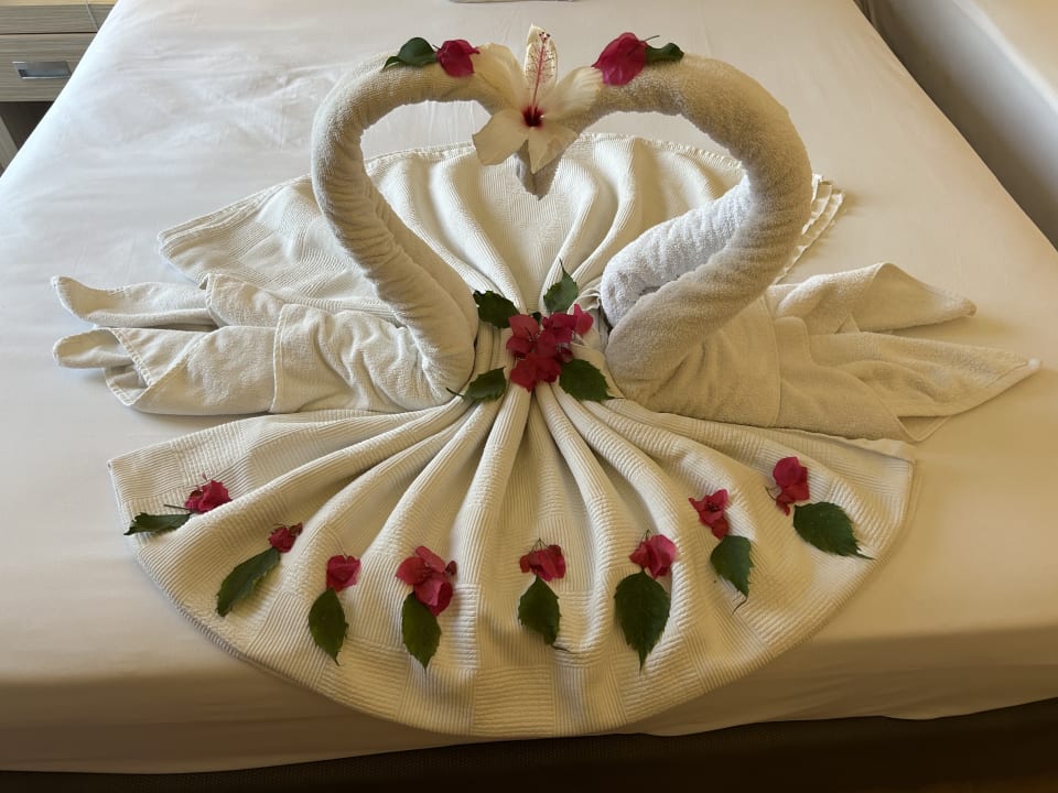 Zimmer Kaila Beach Hotel