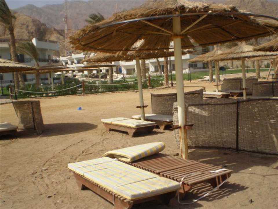 Plaża Hotel Sea Sun Dahab