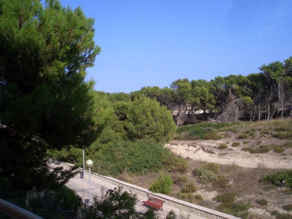 Blick vom Balkon VIVA Cala Mesquida Suites & Spa 16+