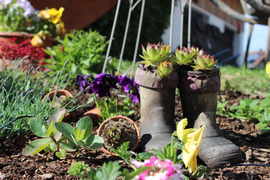 Gartenanlage Simmernhof