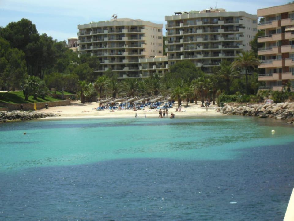 Strand vom Hotel aus gesehn Globales  Cala Viñas - Adults only