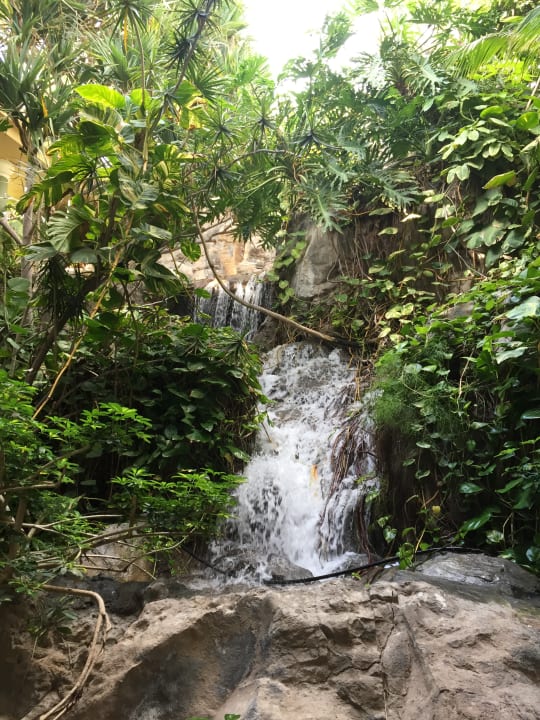 Gartenanlage Adrián Hoteles Jardines de Nivaria
