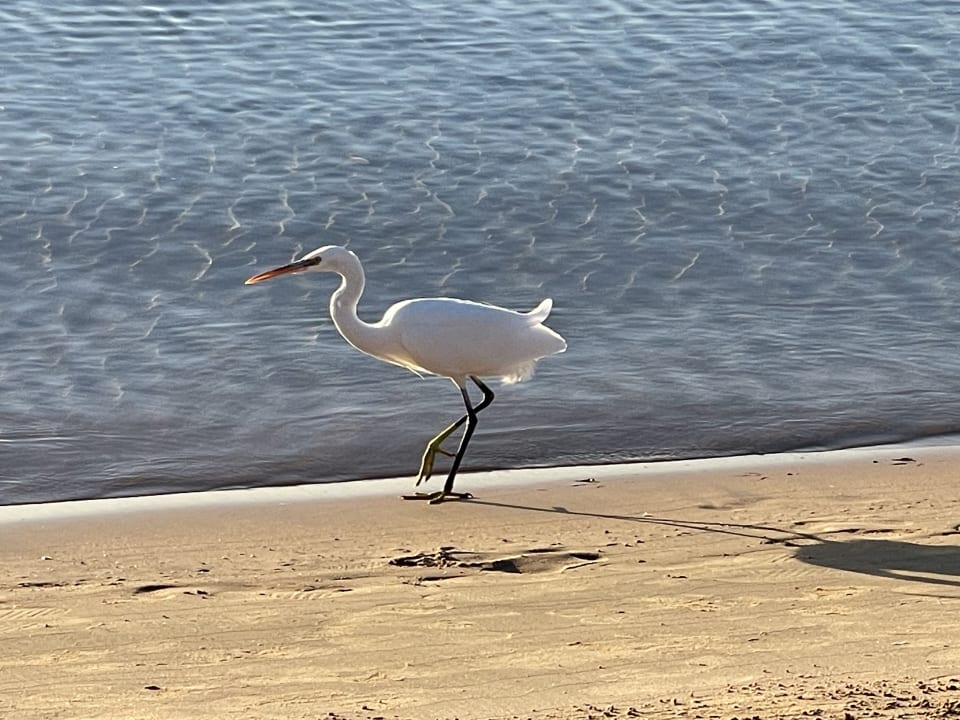 Strand Sentido Caribbean World Soma Bay