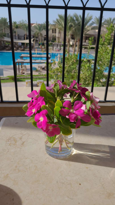 Sonstiges Hotel JAZ Makadi Star & Spa