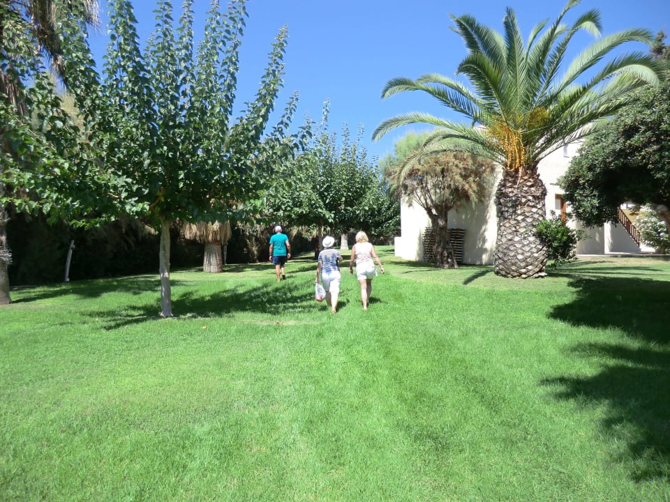 Großzügige, gepflegte Anlage Phãea Cretan Malia