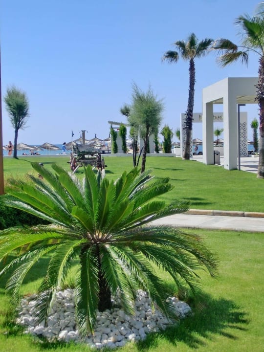 Gartenanlage Hotel Baia Lara