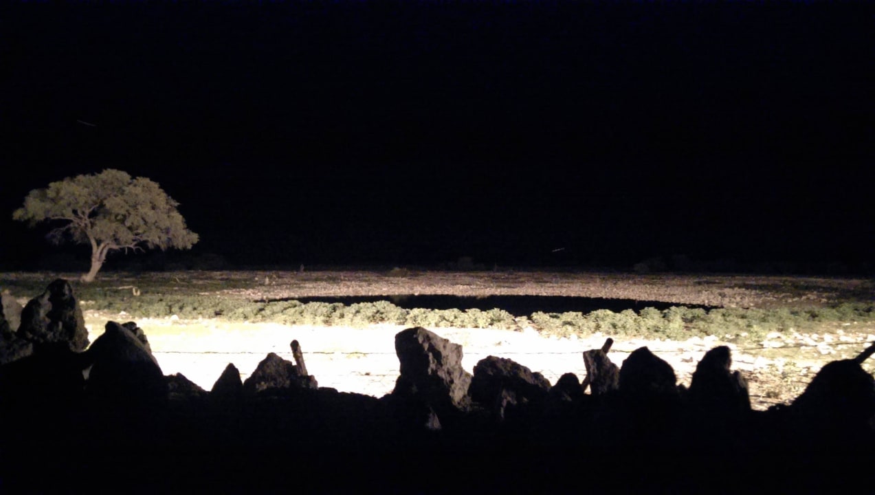 Wasserloch bei Nacht Okaukuejo Camp
