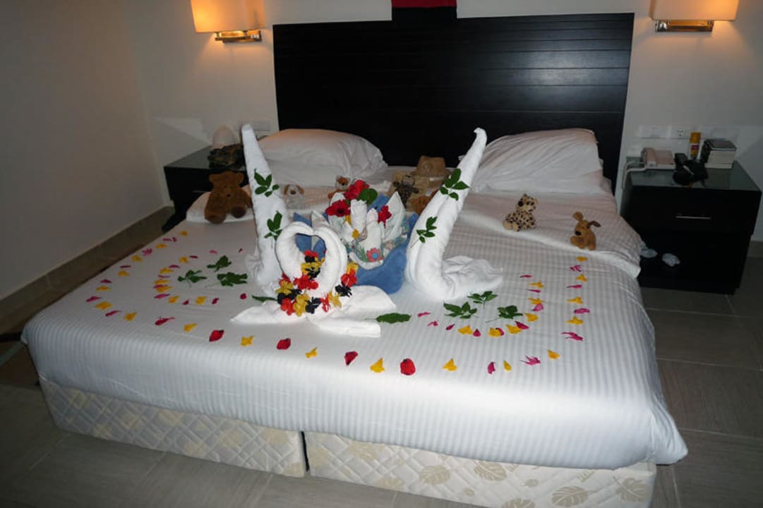 Handtuchfiguren Rixos Sharm El Sheikh Adults Only 18 +