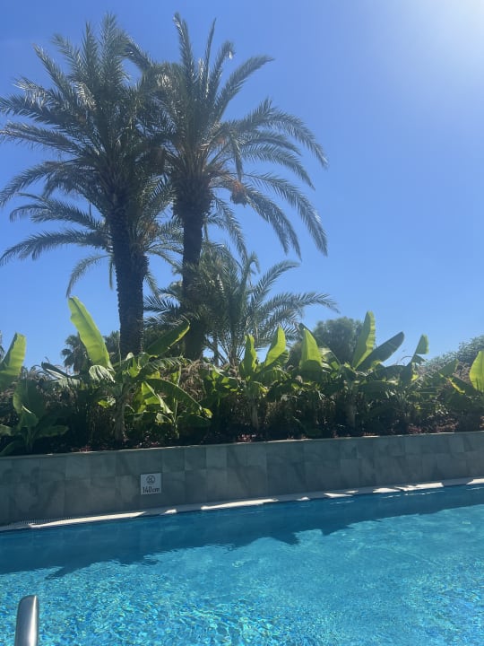 Ausblick Süral Saray Hotel