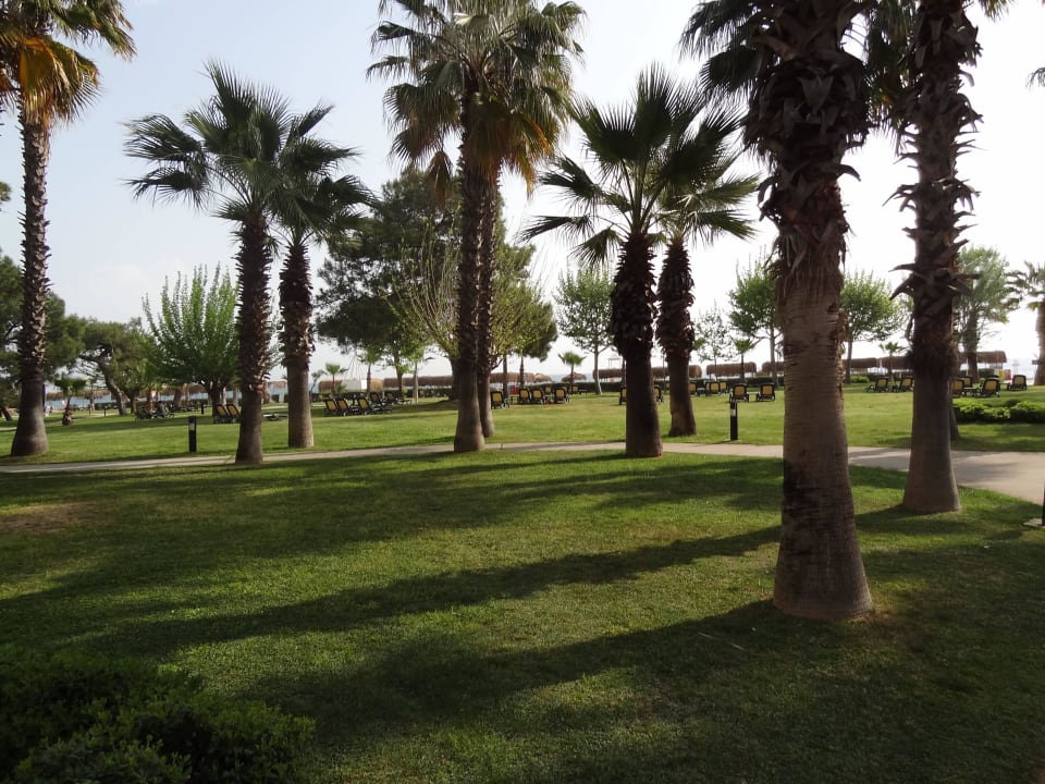 Blick über Grünfläche zum Strand Balmy Foresta