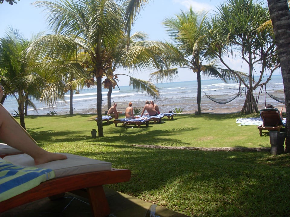 Blick von einer Liege am Pool Puri Dajuma Beach Eco-Resort & Spa