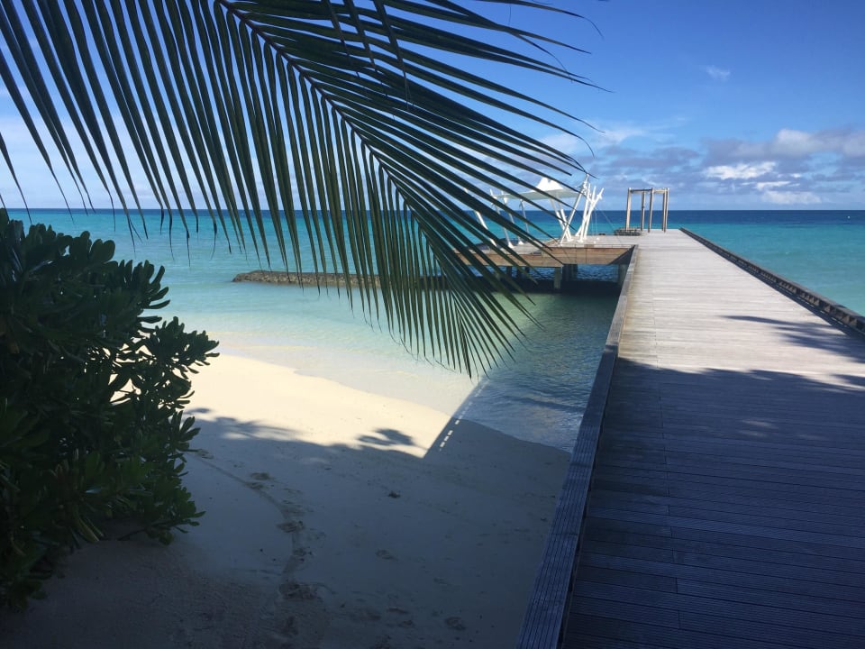 Bootssteg Dhonibar Kuramathi Maldives