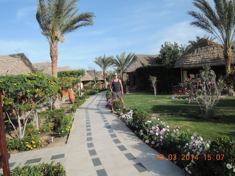 Und prima gepflegt Panorama Bungalows Resort El Gouna