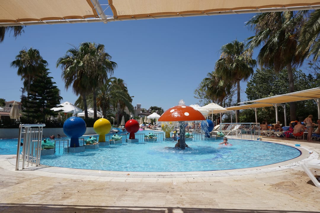 Pool Seaden Corolla Hotel