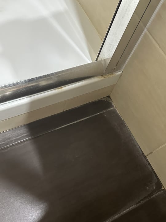 Zimmer Hotel Cardinal Saint Peter