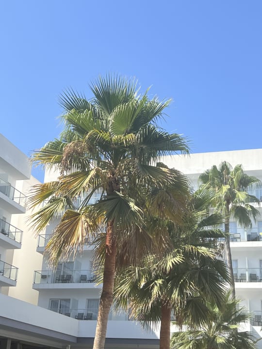 Pool Hotel Riu Playa Park