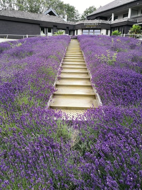 Garten Hotel Diehlberg