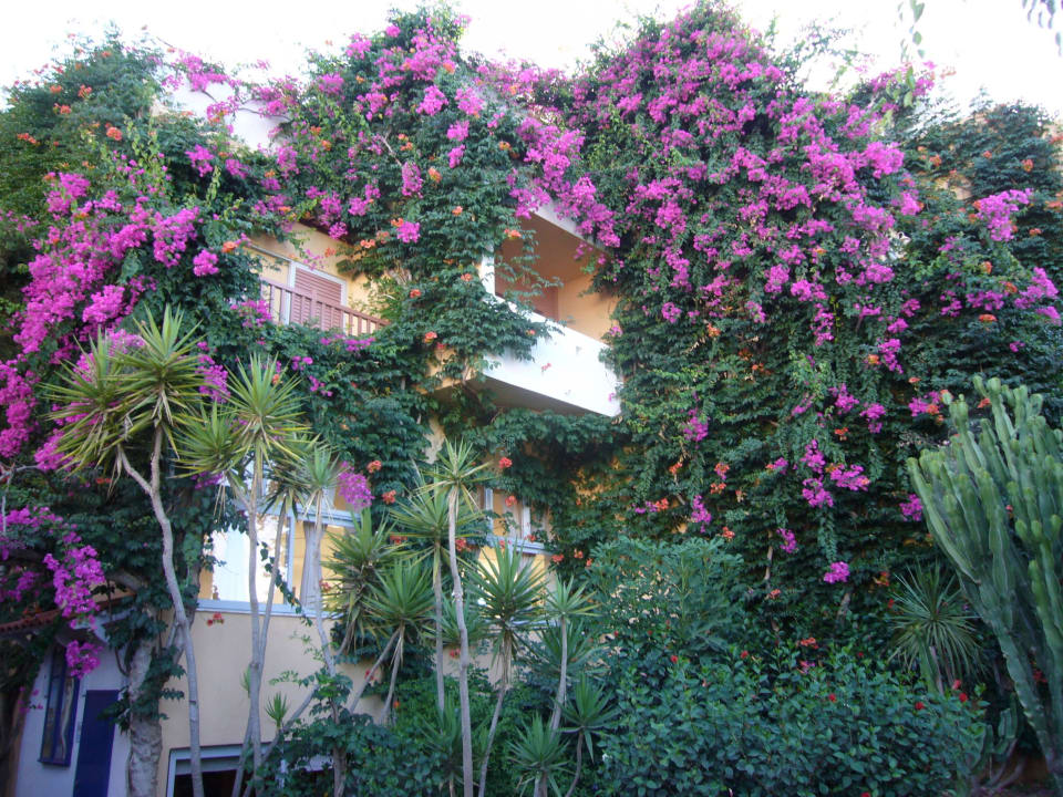 Blumen Anissa Beach & Village