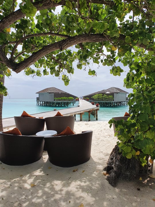 Gastro Meeru Maldives Resort Island