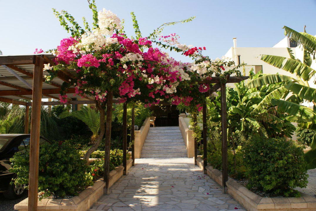 Seiteneingang vom Parkplatz Olive Garden Hotel